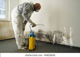 Why You Should Choose Our Mold Remediation Services in Carlisle, PA